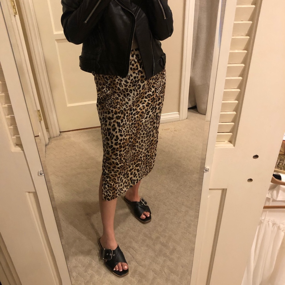 Animal Print A-Line Skirt